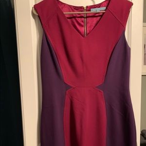 Antonio Melani dress